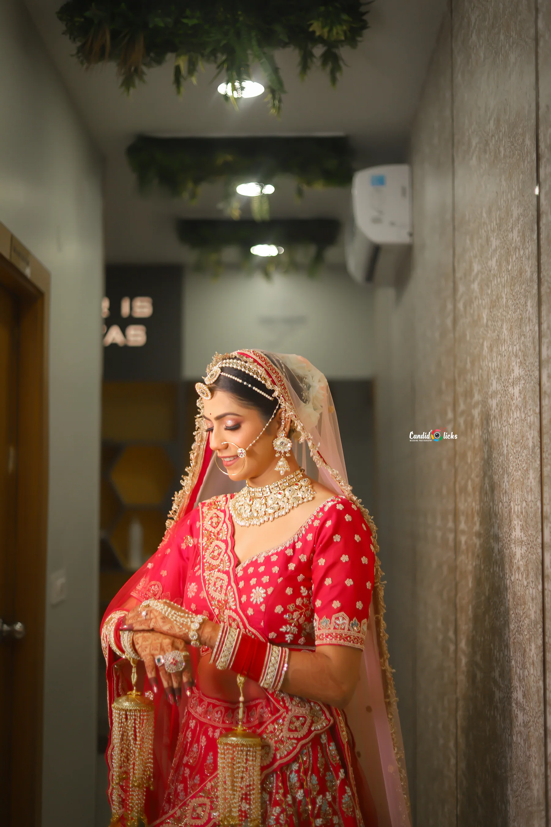 The First Look